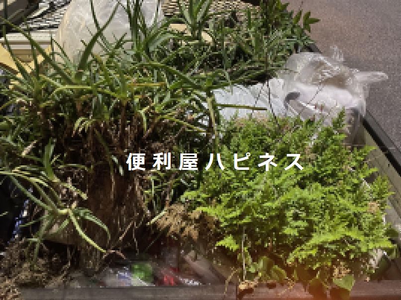 東京都北区マンション大規模修繕｜バルコニー植木鉢プランター片付け