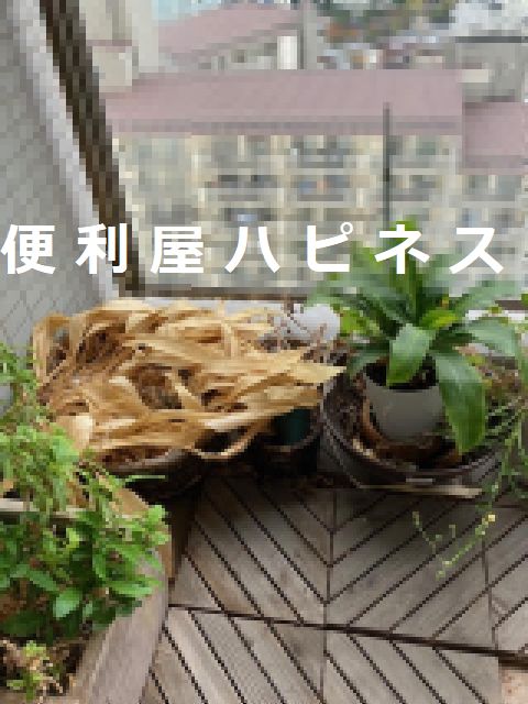 江東区ベランダ鉢植えプランター処分｜台車禁止マンション